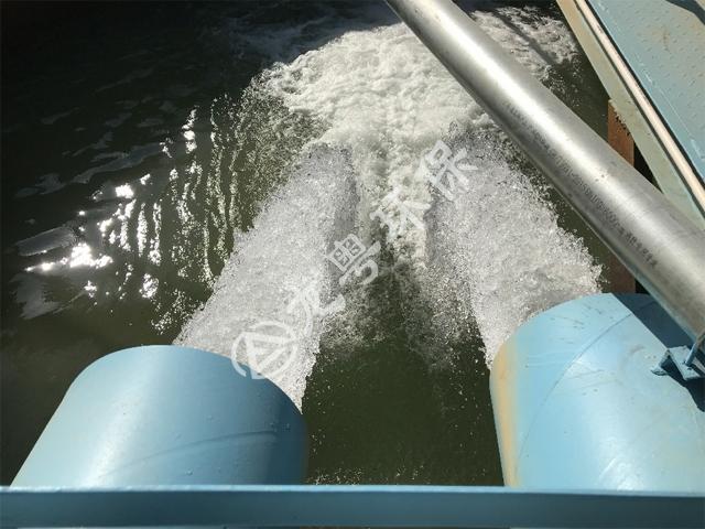 污水處理廠的污泥應(yīng)怎么處理？